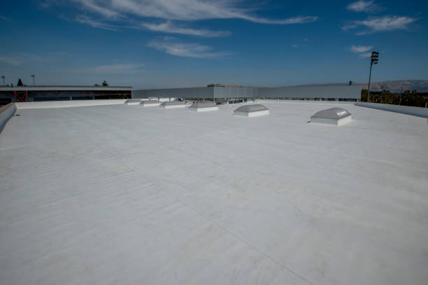 Best Storm Damage Roof Repair  in Loxley, AL