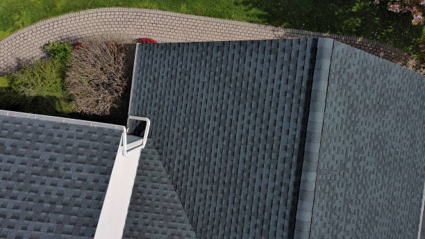Best Roof Coating and Sealing  in Loxley, AL