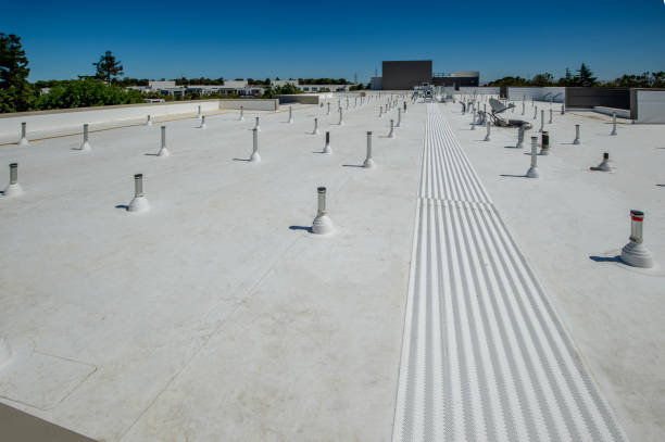 Best Skylight Installation and Repair  in Loxley, AL